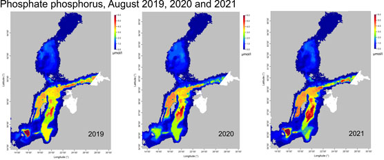 Phosphate_phosphorus-2019-2020-2021_556px.jpg